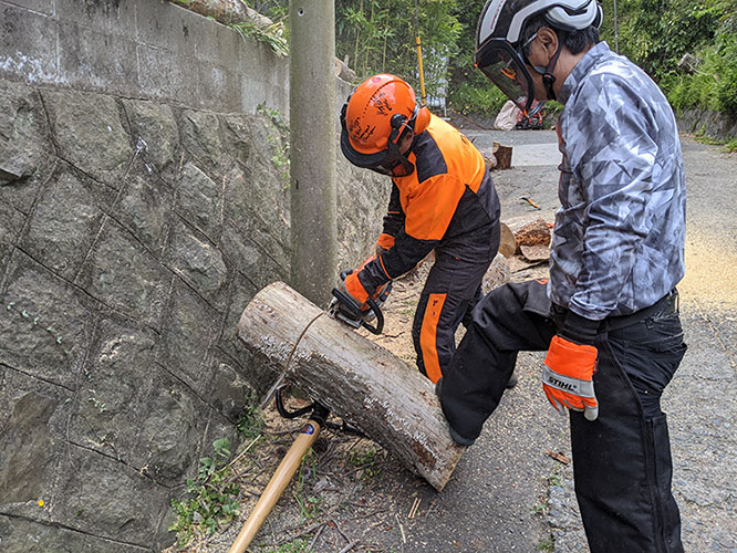 鎌倉市個人邸特殊伐採事例　施業中