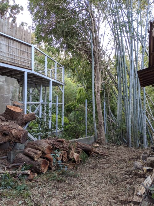 鎌倉市個人邸竹林整備および伐採作業　施業後