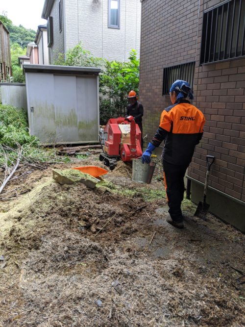 鎌倉市個人邸竹林整備　施業中