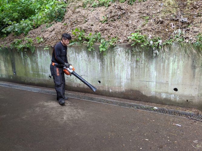 鎌倉市個人邸竹林整備　施業中