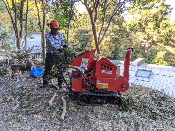 鎌倉市鎌倉山個人邸伐採事例　施業中