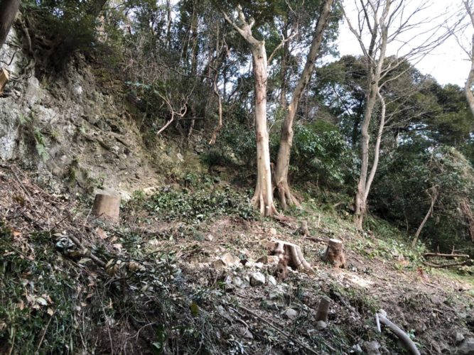 鎌倉雪ノ下伐採作業　施業終了