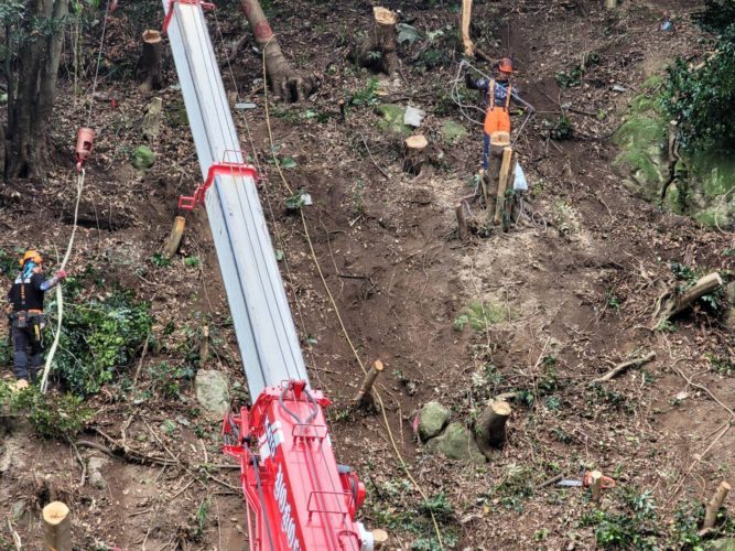 横須賀市小矢部擁壁工事向け伐採作業中