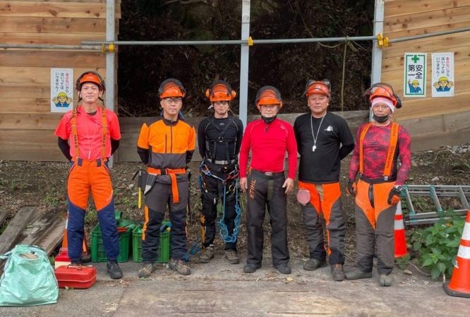 横須賀市小矢部擁壁工事向け伐採作業