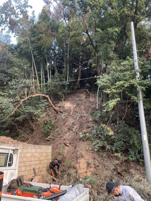 逗子市小坪ナラ枯れ危険木伐採作業後
