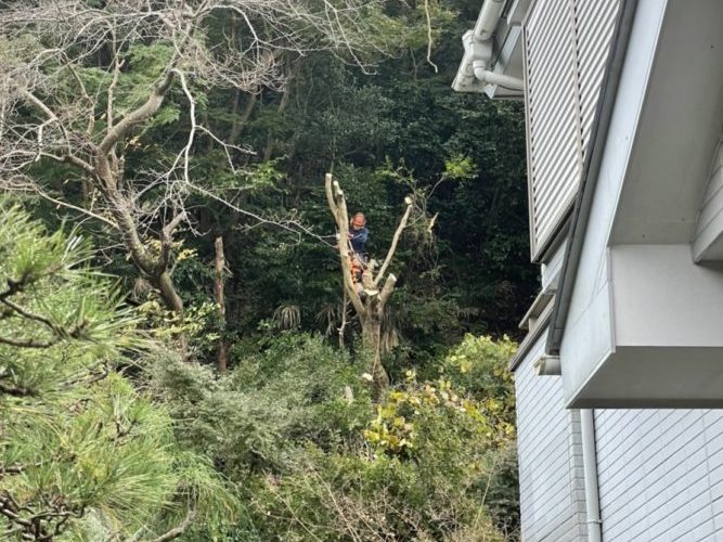 鎌倉市大町個人邸（斜面伐採）サムネイル