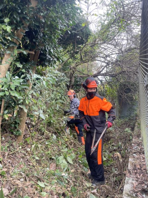 鎌倉市大町個人邸（斜面伐採）施業中