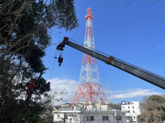 鎌倉市大船（斜面伐採） 作業前中