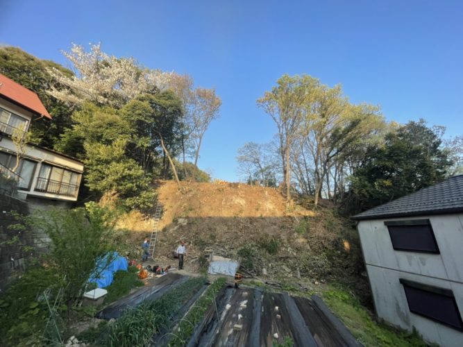 鎌倉市大船私有林（斜面伐採／危険木伐採）作業後