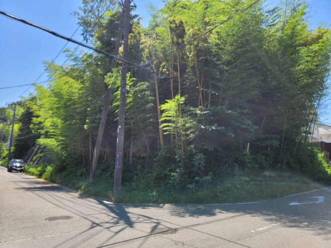 横浜市青葉区（住宅用地向け伐採）