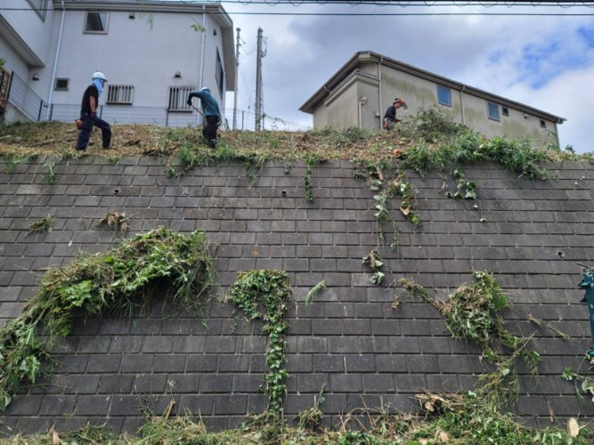 横浜市青葉区（住宅用地向け伐採）作業中