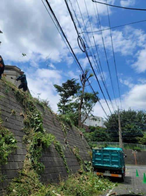 横浜市青葉区（住宅用地向け伐採）作業中