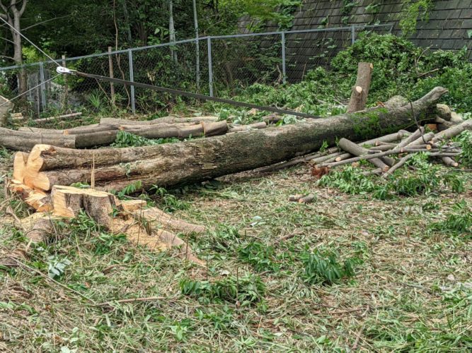 横浜市青葉区（住宅用地向け伐採）作業中
