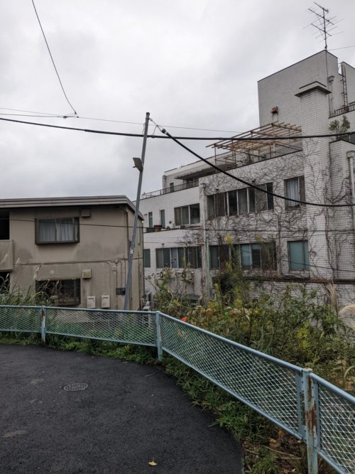 鎌倉市大船（住宅地での危険木伐採）作業後