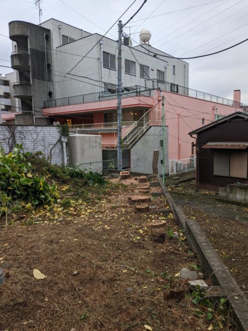 鎌倉市大船（住宅地での危険木伐採）作業後