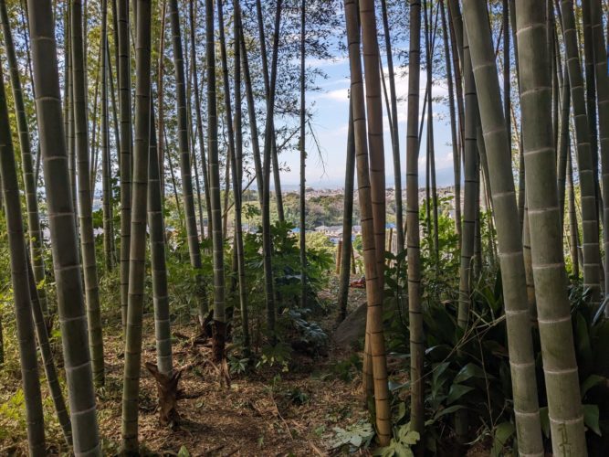 鎌倉市鎌倉山（作業中）