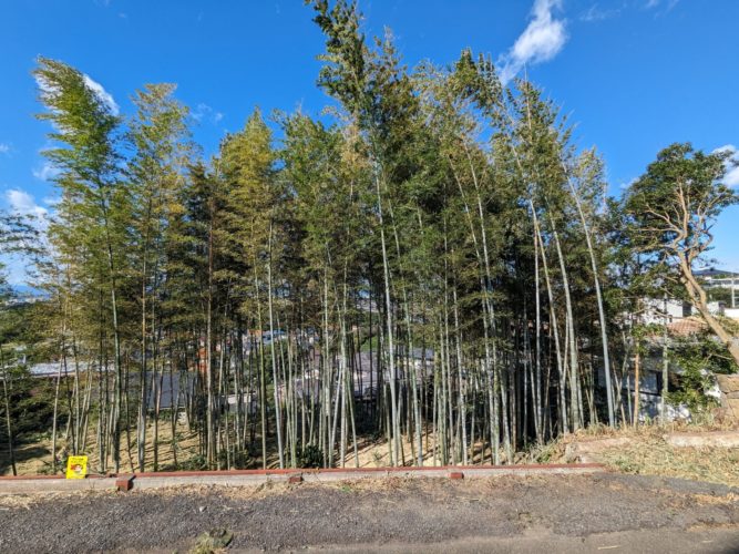 鎌倉市鎌倉山（作業後）