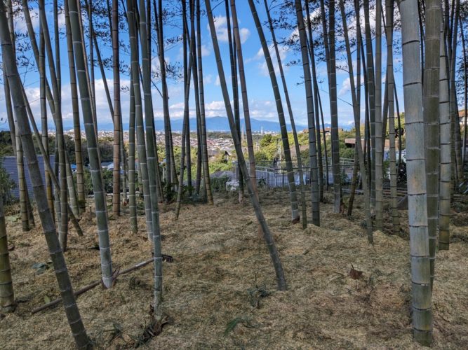 鎌倉市鎌倉山（作業後）