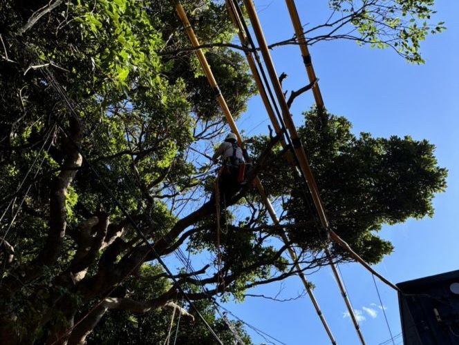 鎌倉市稲村ヶ崎（作業中）