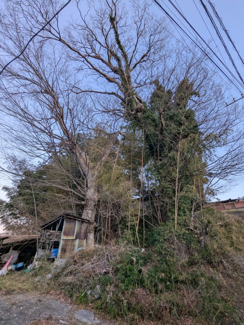 横須賀市芦名（作業前）