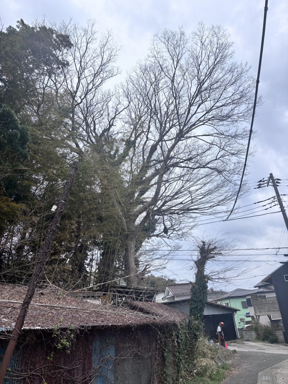 横須賀市芦名（作業前）