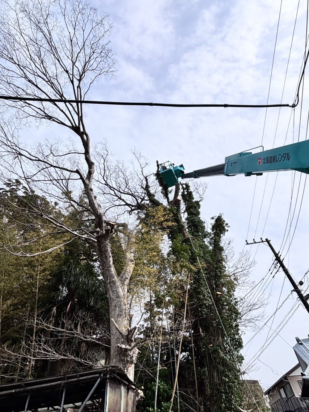 横須賀市芦名（作業中）