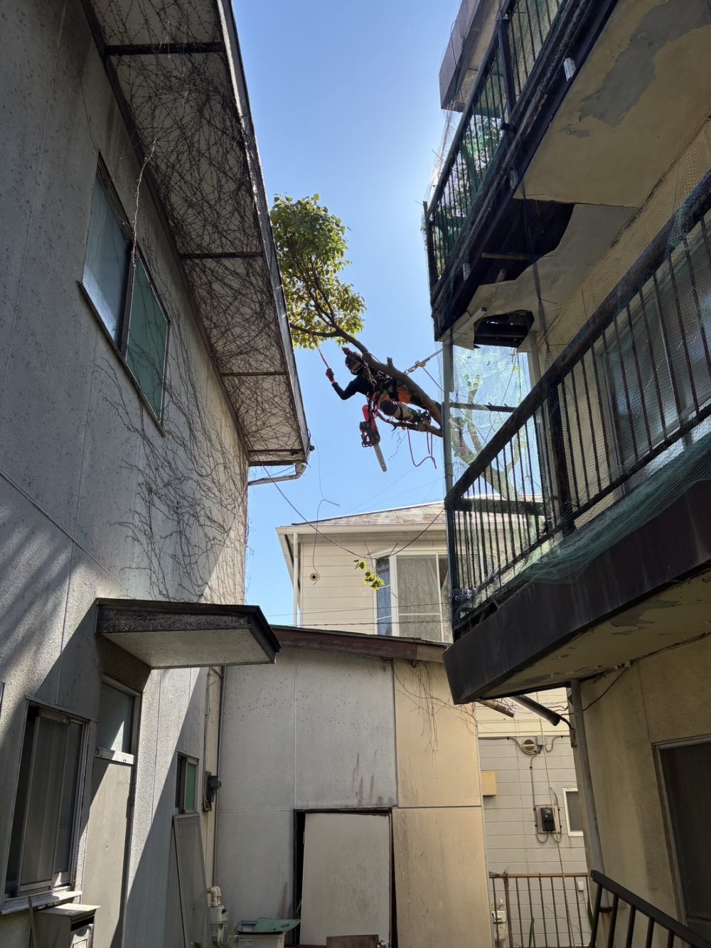 鎌倉雪ノ下（作業中）