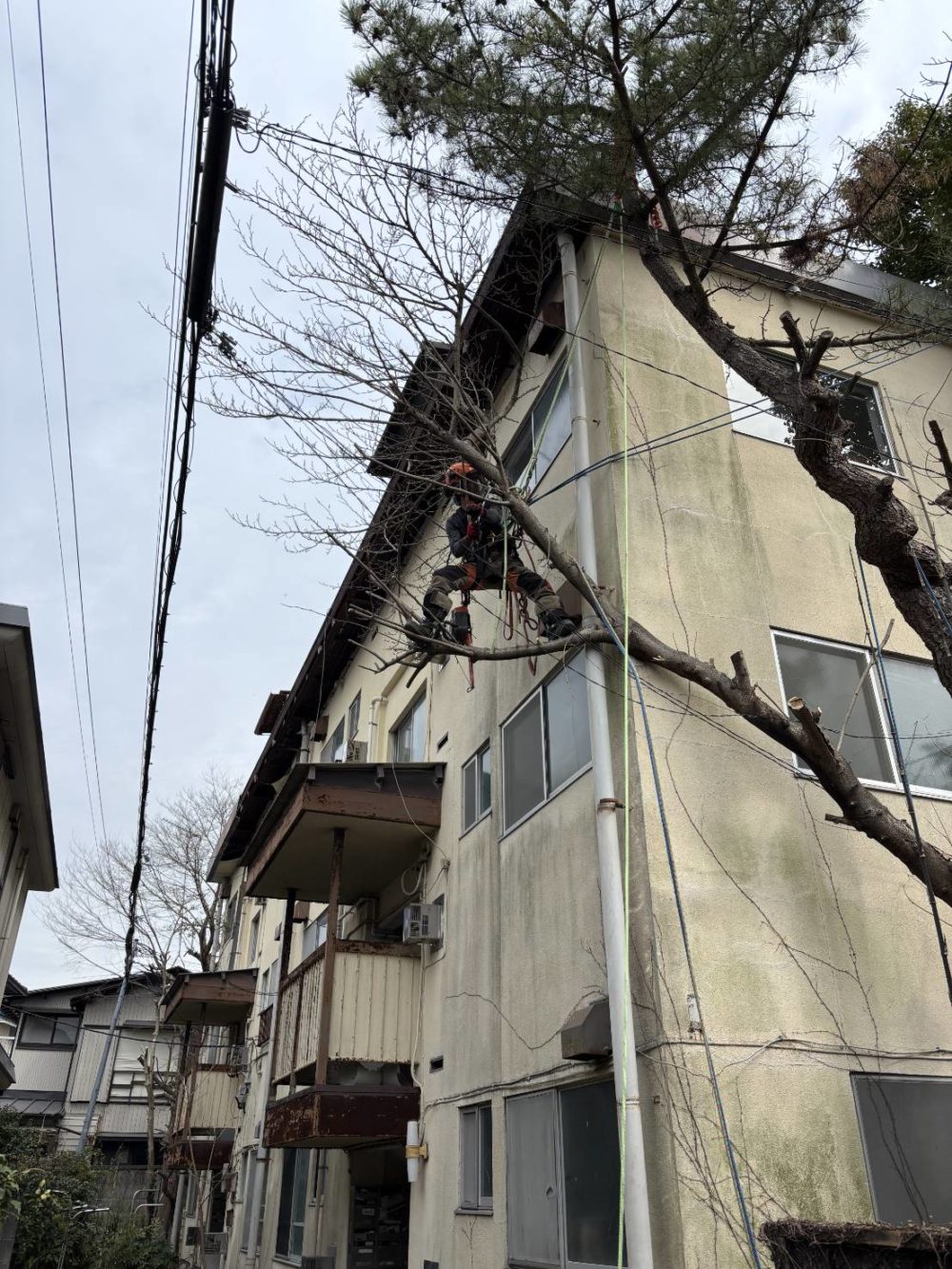 鎌倉雪ノ下（作業中）