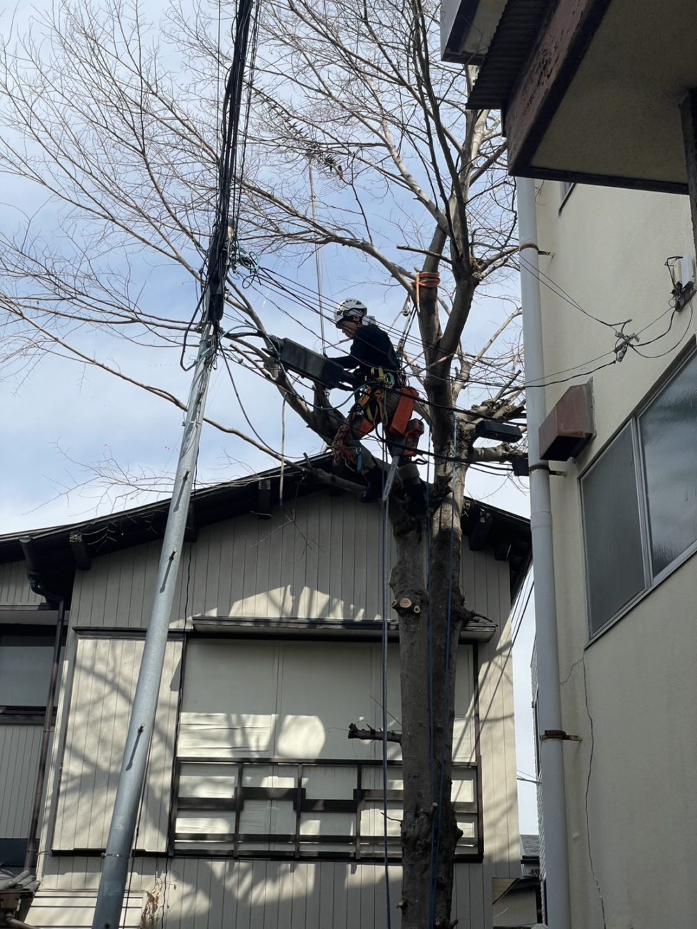 鎌倉雪ノ下（作業中）