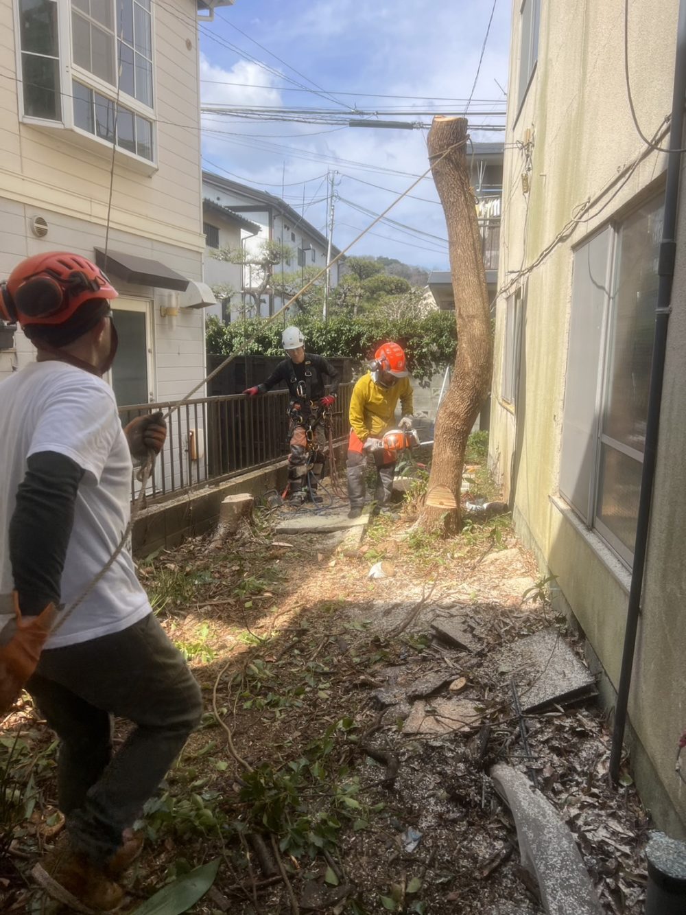 鎌倉雪ノ下（作業中）