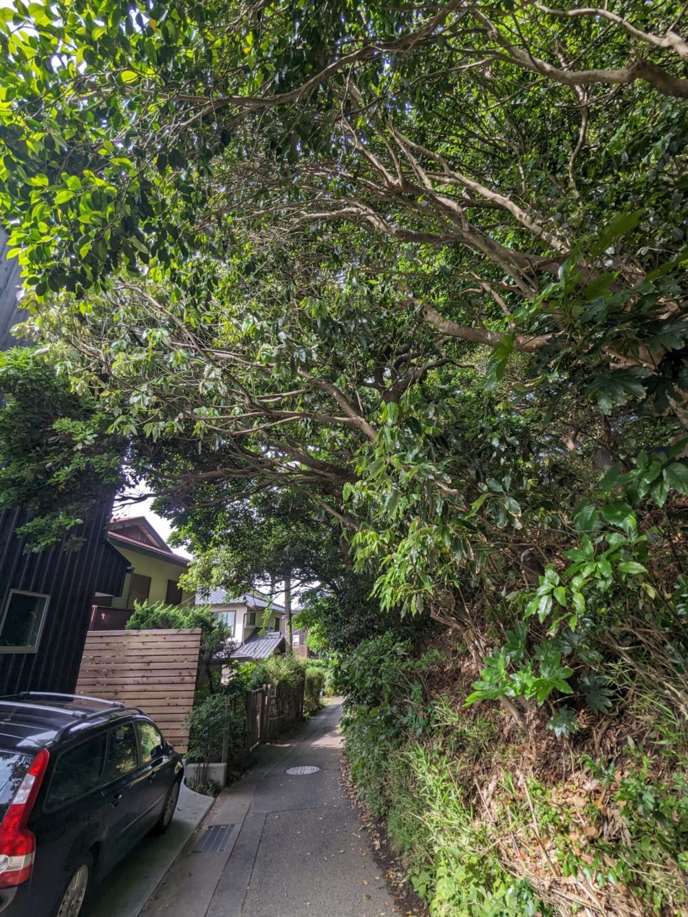 鎌倉市稲村ヶ崎（作業前）