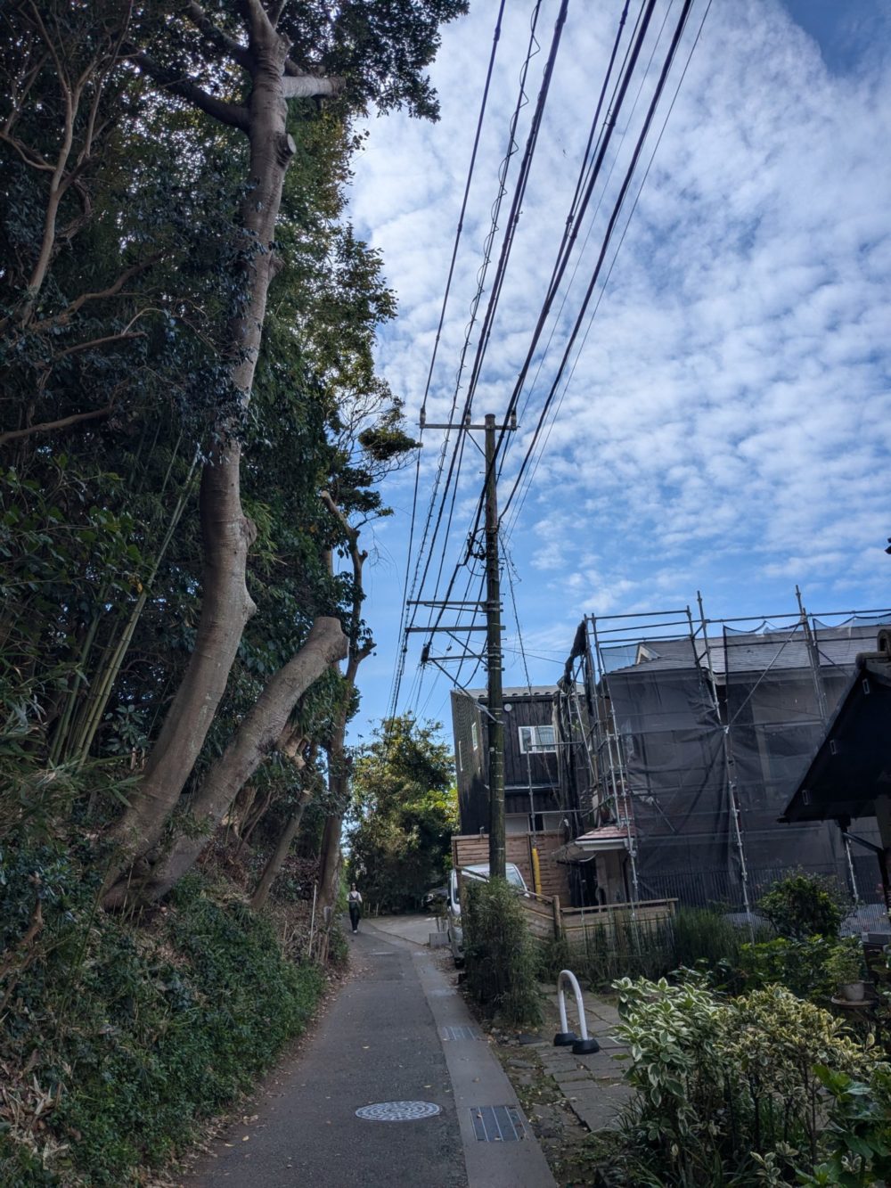 鎌倉市稲村ヶ崎（作業後）