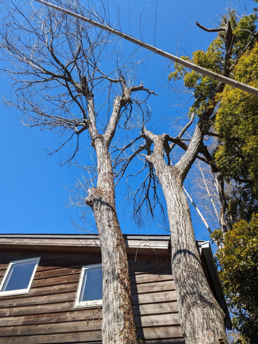 鎌倉市梶原（作業前）