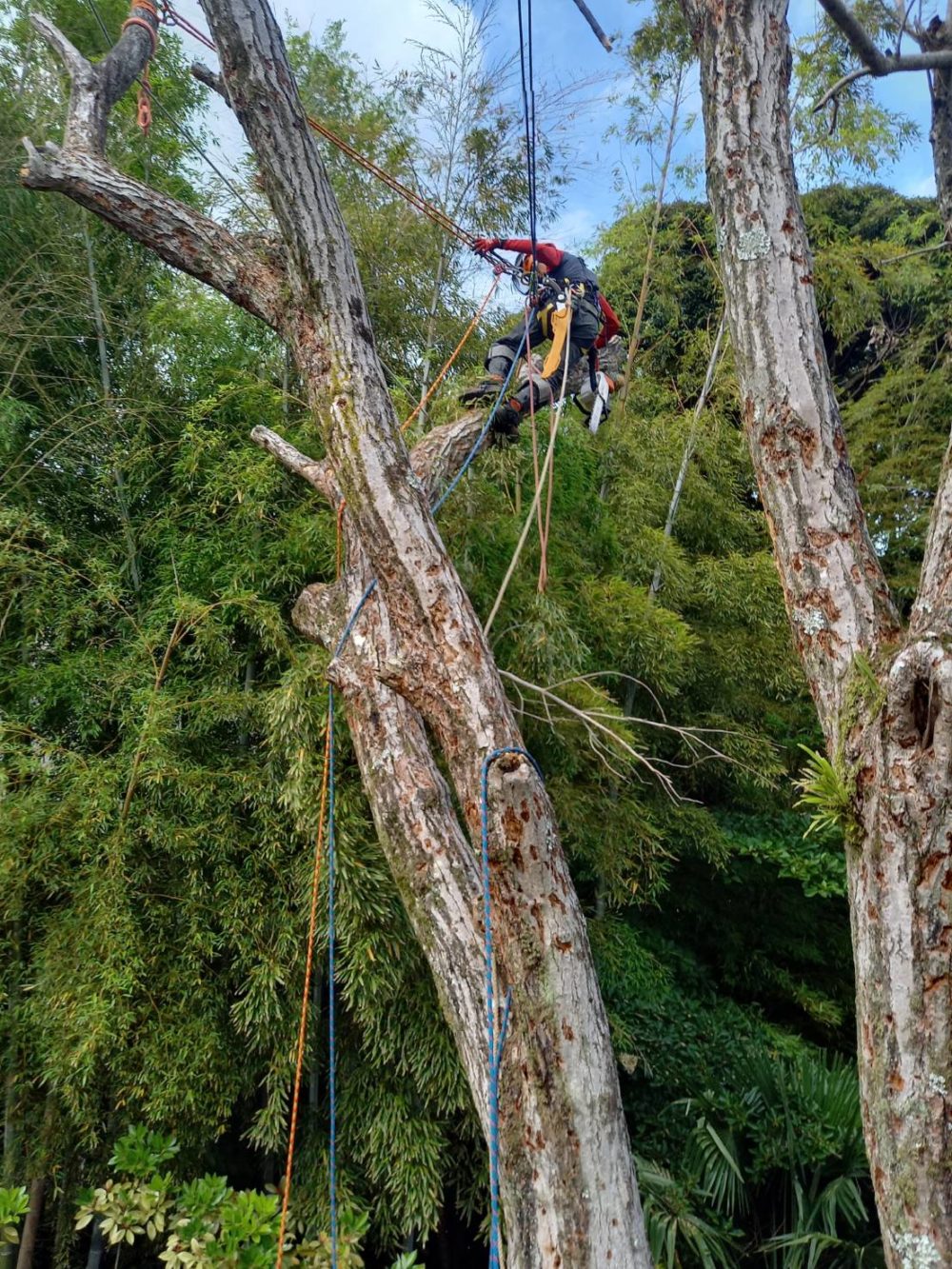 鎌倉市梶原（作業中）