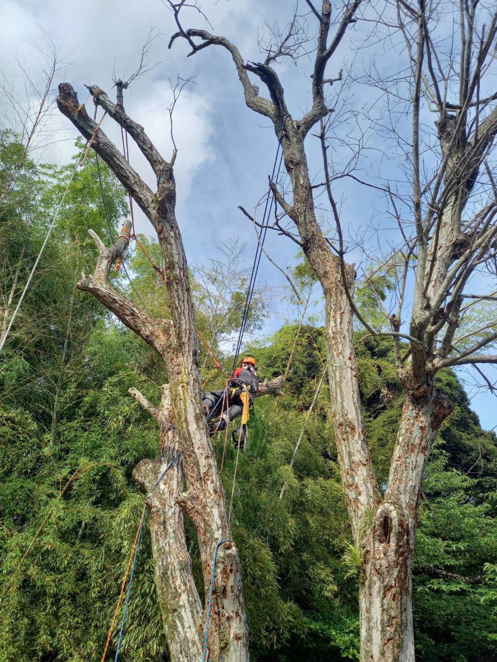 鎌倉市梶原（作業中）
