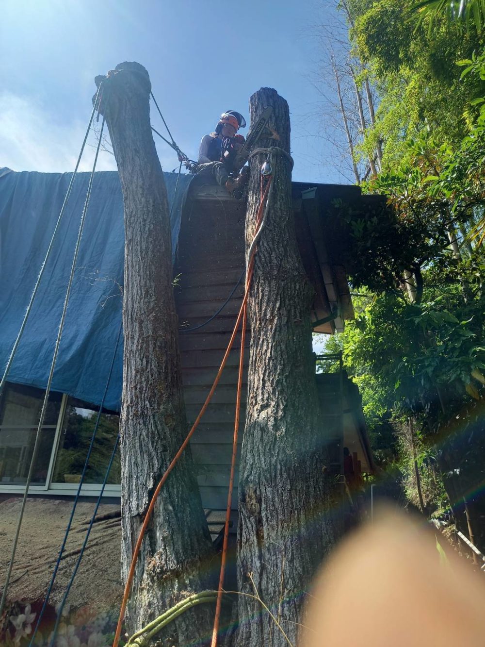 鎌倉市梶原（作業中）