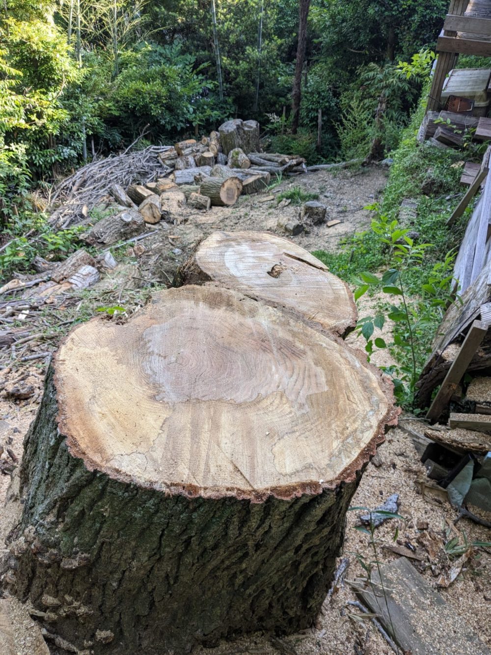 鎌倉市梶原（作業後）