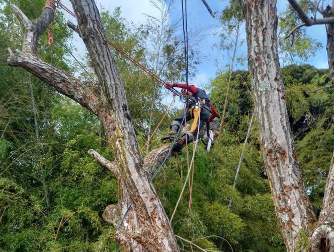 鎌倉市梶原（作業中）