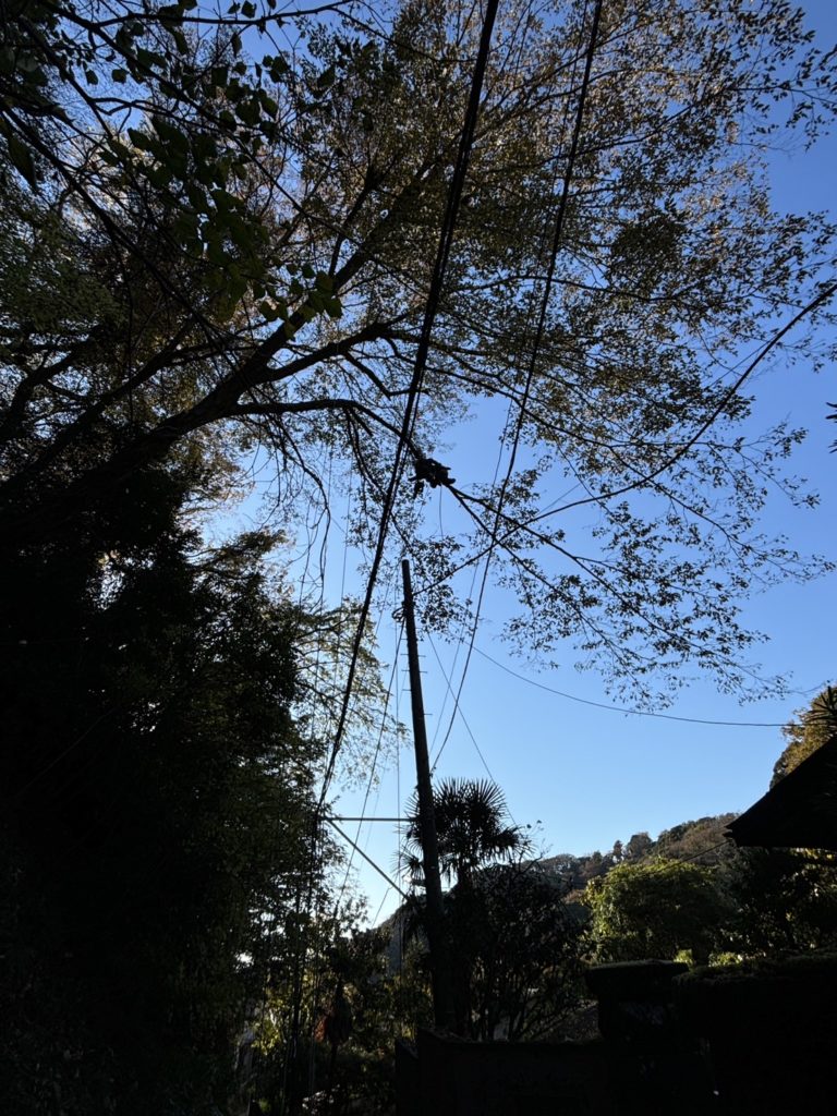 鎌倉市二階堂（作業中）