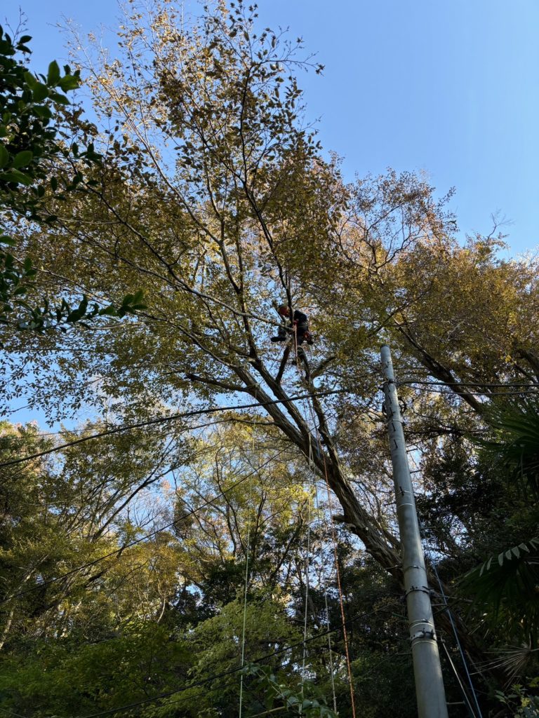 鎌倉市二階堂（作業中）