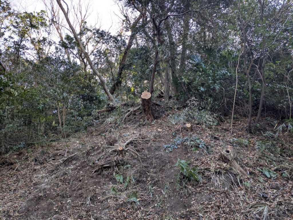 鎌倉市二階堂（作業後）