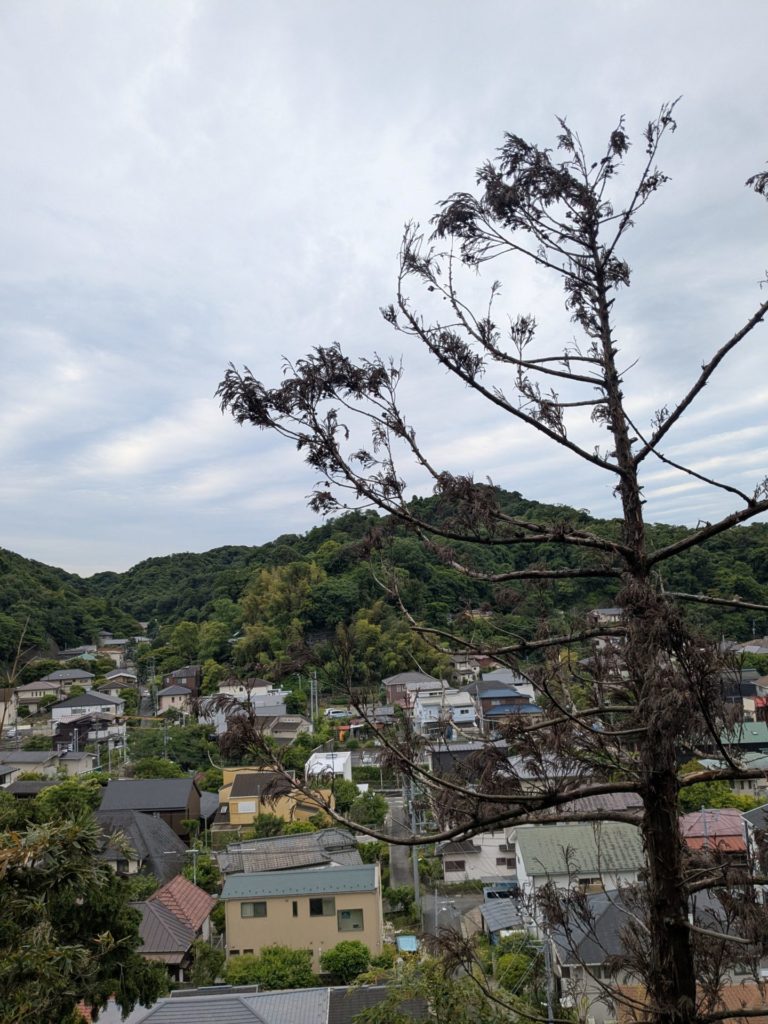 鎌倉市浄明寺（作業中）