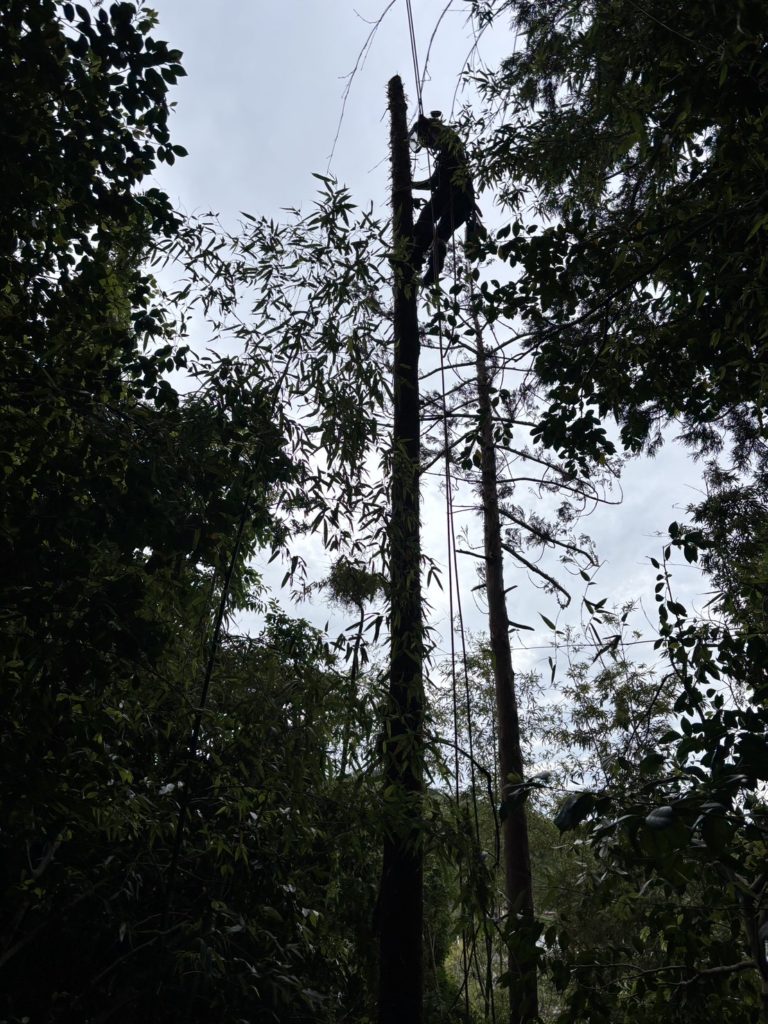鎌倉市浄明寺（作業中）
