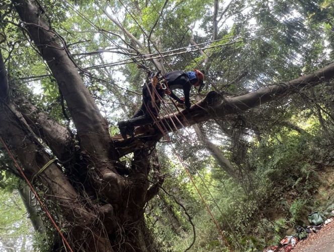 横須賀市芦名（作業中）