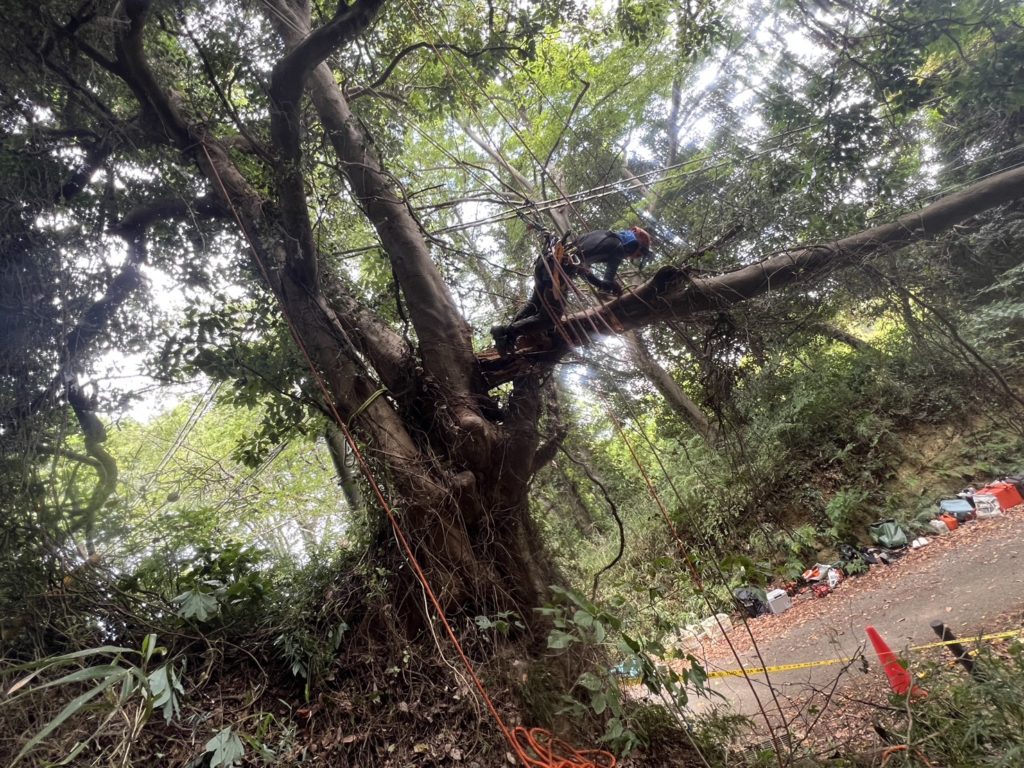 横須賀市芦名（作業中）