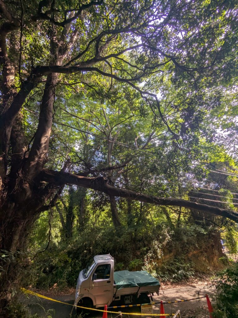 横須賀市芦名（作業前）