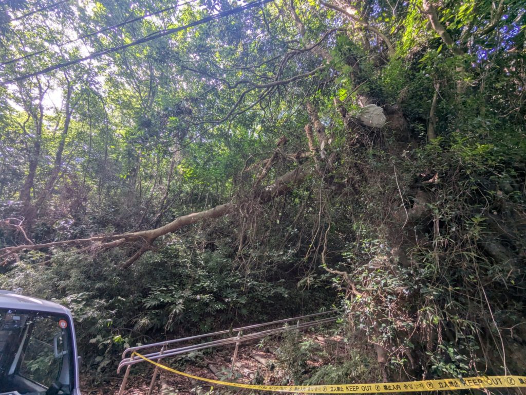 横須賀市芦名（作業前）