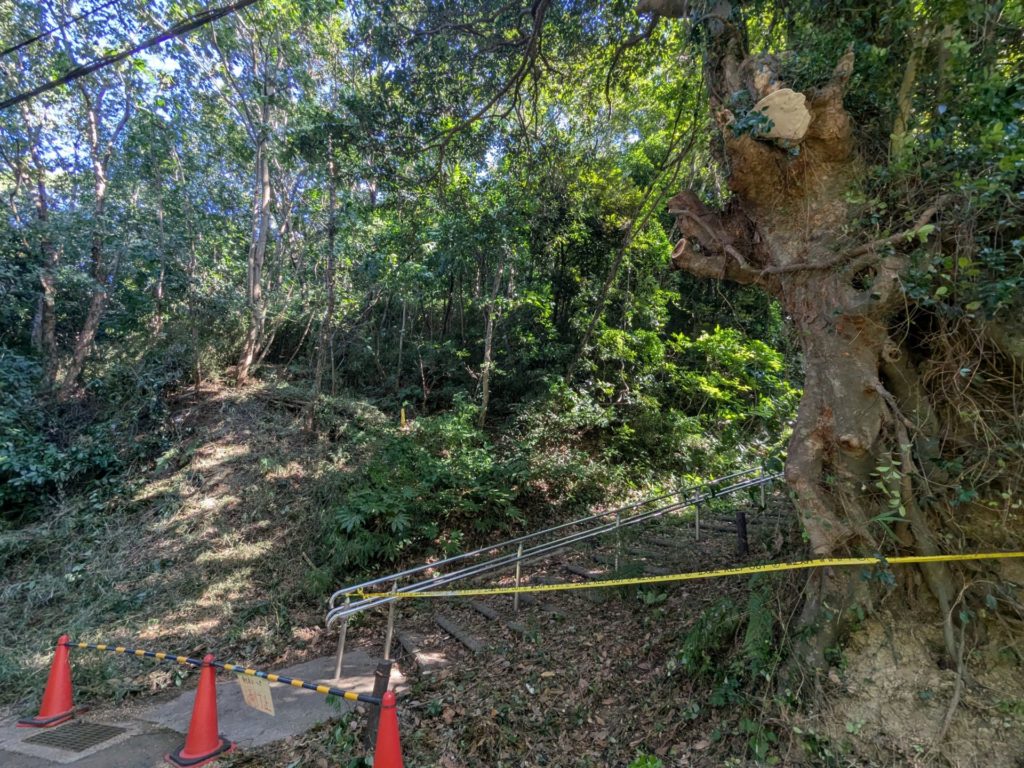 横須賀市芦名（作業後）